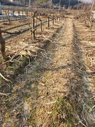 최상길 님의 자유주제 · 자유게시판 작성글 사진