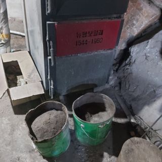 가로수님의 자유주제 · 자유게시판 작성글 사진