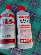 팜모닝 자유주제·자유게시판 게시글 이미지