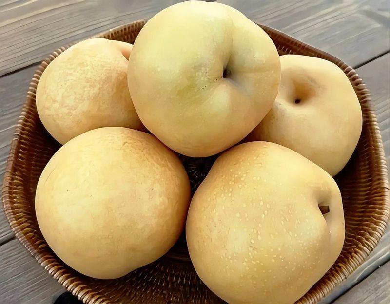 장터 상품 [배 가정용 시원하고 과즙이 가득한 식감의 배] 썸네일