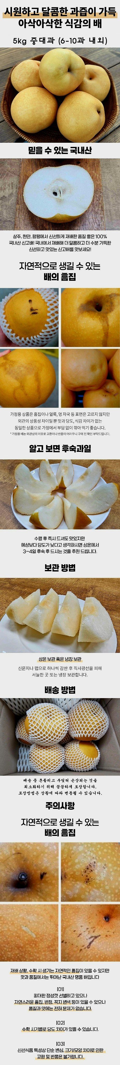 자두14488님의 장터 판매 상품 [배 가정용 시원하고 과즙이 가득한 식감의 배] 첨부 사진