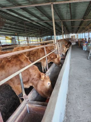 호박10174님의 작성글 사진