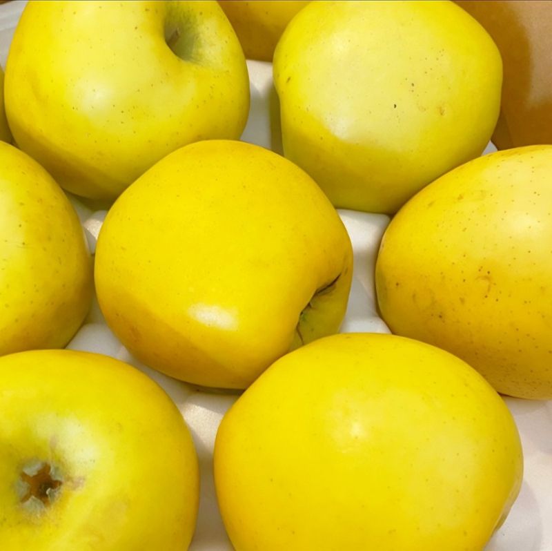 장터 상품 [경북 시나노골드 황금 노란사과 실속형 가정용] 썸네일