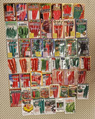 안산제일농약사님의 작성글 사진