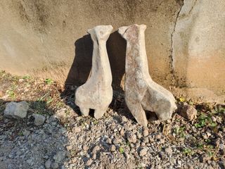 울금박사/빈덕열목사님의 자유주제 · 자유게시판 작성글 사진