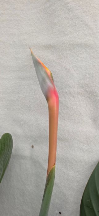 달맛햇복숭아농원님의 자유주제 · 사진전 작성글 사진