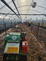 팜모닝 자유주제·자유게시판 게시글 이미지