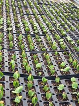 빛그린 김용화님의 자유주제·자유게시판 작성글 사진