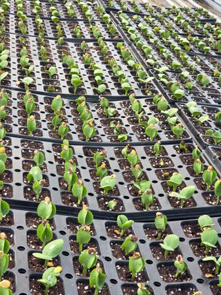 빛그린 김용화님의 자유주제 · 자유게시판 작성글 사진