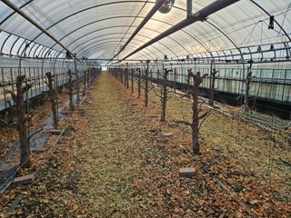 김강식님의 자유주제 · 자유게시판 작성글 사진