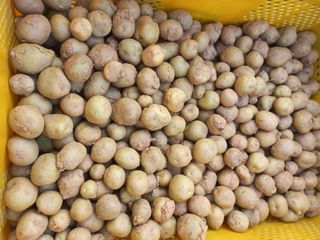 박린님의 자유주제 · 자유게시판 작성글 사진