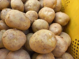 박린님의 자유주제 · 자유게시판 작성글 사진