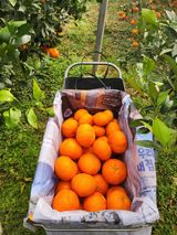 팜모닝 자유주제·자유게시판 게시글 이미지