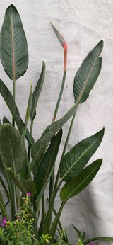 팜모닝 자유주제·사진전 게시글 이미지