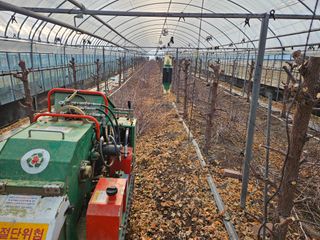 김강식님의 자유주제 · 자유게시판 작성글 사진