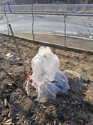 김용대님의 자유주제 · 자유게시판 작성글 사진