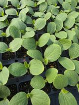 빛그린 김용화님의 자유주제·자유게시판 작성글 사진