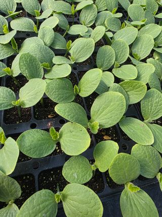 빛그린 김용화님의 자유주제 · 자유게시판 작성글 사진