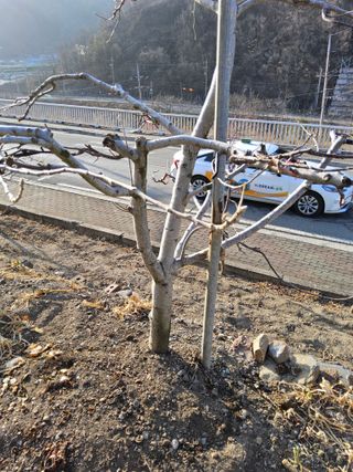 김용대님의 자유주제 · 자유게시판 작성글 사진