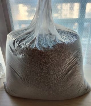 주사모님의 들깨·자유게시판 작성글 사진