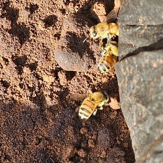 김정우님의 자유주제 · 자유게시판 작성글 사진