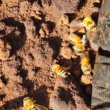 김정우님의 자유주제·자유게시판 작성글 사진