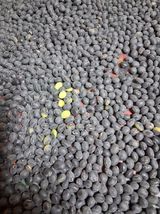 팜모닝 · 게시글 이미지