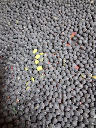 김복철님의 작성글 사진