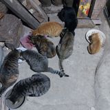 가로수님의 자유주제·자유게시판 작성글 사진