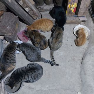 가로수님의 자유주제 · 자유게시판 작성글 사진