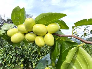 쌍둥이네농장님의 작성글 사진