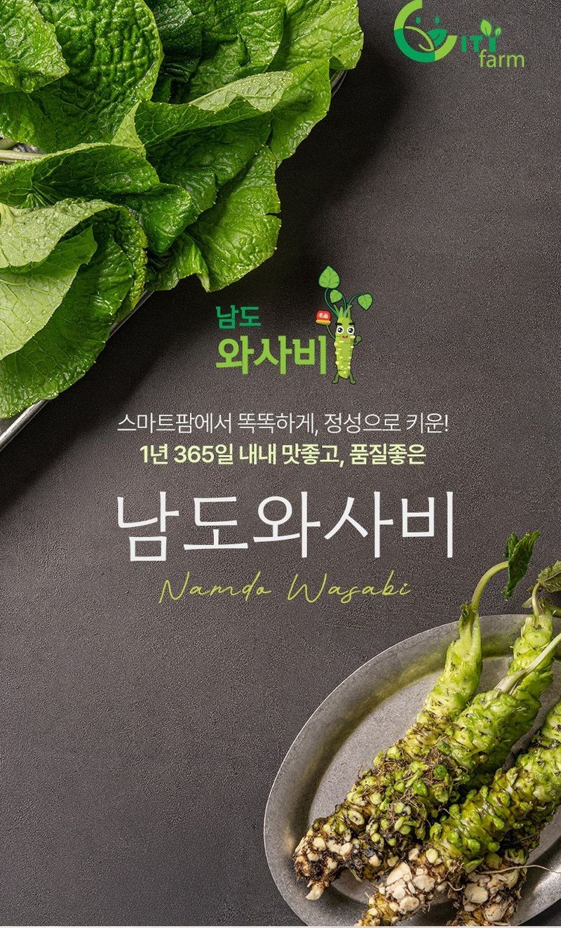 장터 상품 [생와사비어린잎300g] 썸네일