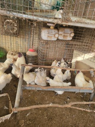 김영복님의 작성글 사진