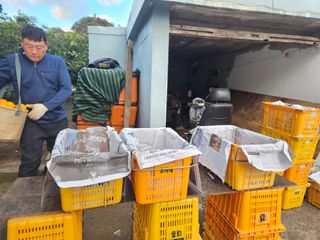 새달귤농장님의 자유주제 · 자유게시판 작성글 사진