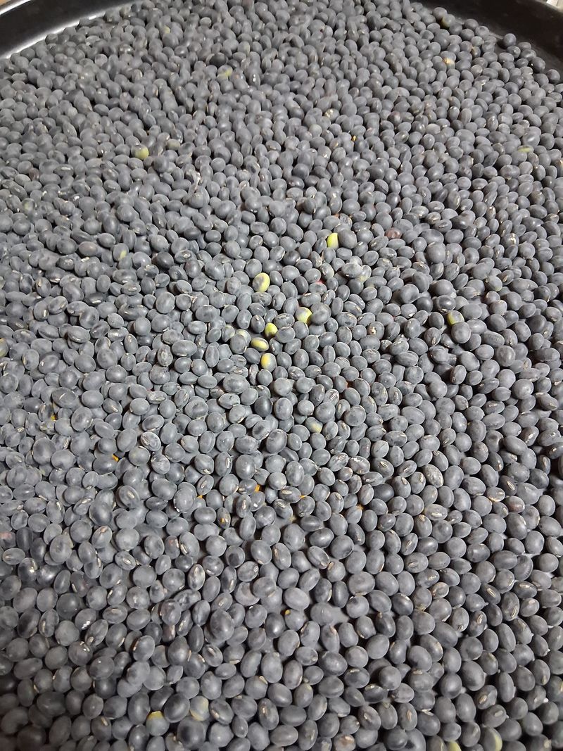 장터 상품 [옛날 서리태 5kg] 썸네일