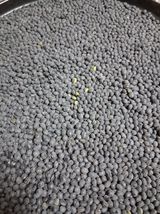 팜모닝 · 게시글 이미지