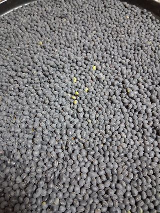 김복철님의 작성글 사진