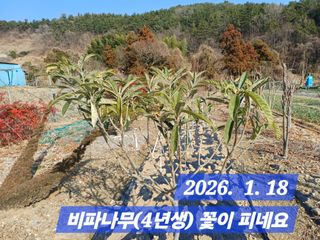 박성민님의 자유주제 · 자유게시판 작성글 사진