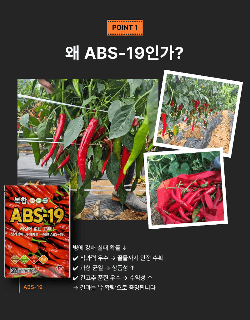 대산농사대장님의 장터 판매 상품 [ABS-19 복합내병계] 첨부 사진