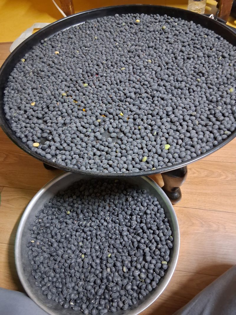 김복철님의 장터 판매 상품 [검정서리태 1kg] 첨부 사진