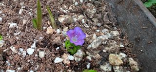 달맛햇복숭아농원님의 자유주제 · 자유게시판 작성글 사진