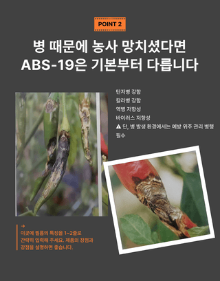 농사대장님의 작성글 사진