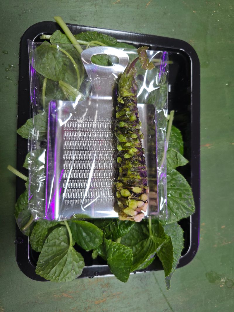 남도와사비님의 장터 판매 상품 [생와사비어린잎300g] 첨부 사진