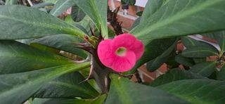 달맛햇복숭아농원님의 자유주제 · 자유게시판 작성글 사진