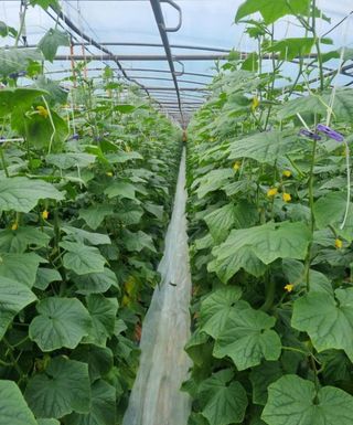 국중선님의 자유주제 · 자유게시판 작성글 사진