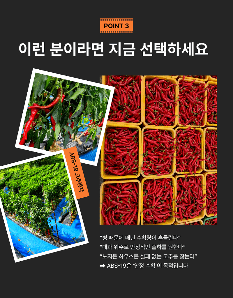 대산농사대장님의 장터 판매 상품 [ABS-19 복합내병계] 첨부 사진