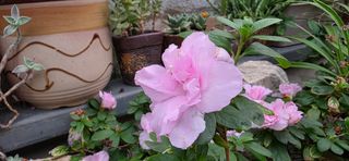 달맛햇복숭아농원님의 자유주제 · 자유게시판 작성글 사진