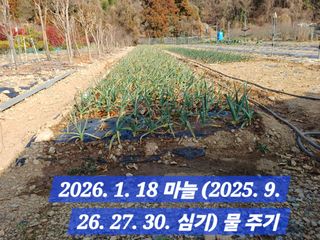 박성민님의 자유주제 · 자유게시판 작성글 사진