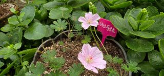 달맛햇복숭아농원님의 자유주제 · 자유게시판 작성글 사진