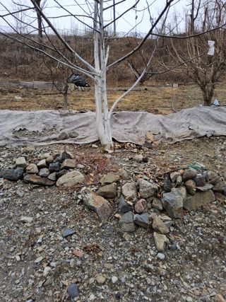 김용대님의 자유주제 · 자유게시판 작성글 사진